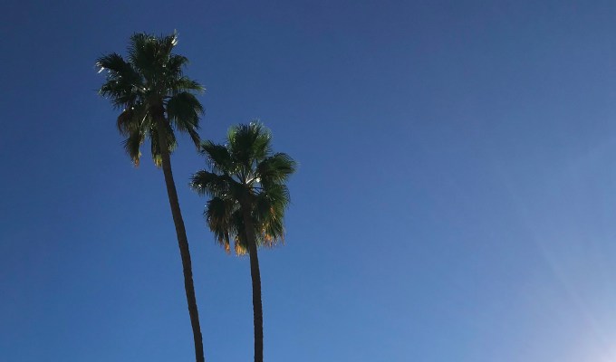 Practicing Gratitude